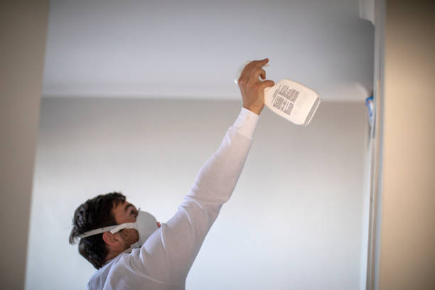 Best Toxic Mold Removal  in Dilley, TX